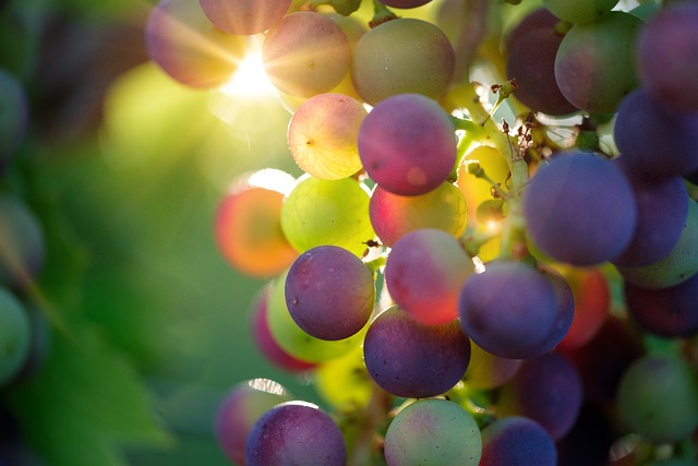 An abundant life